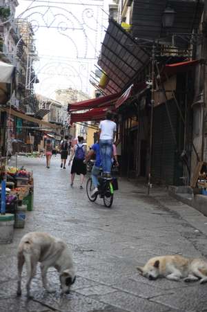 Siamo – Photo Nanna Pause Paris