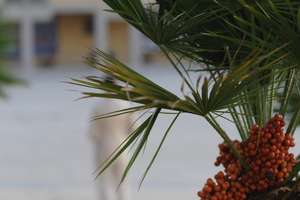 Siamo – Photo Nanna Pause Paris